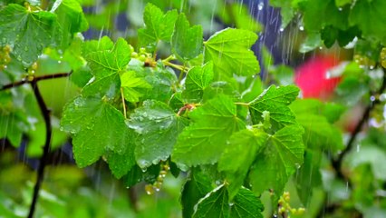 8D muSic | Meditation muSic | No Copyright Music (7)