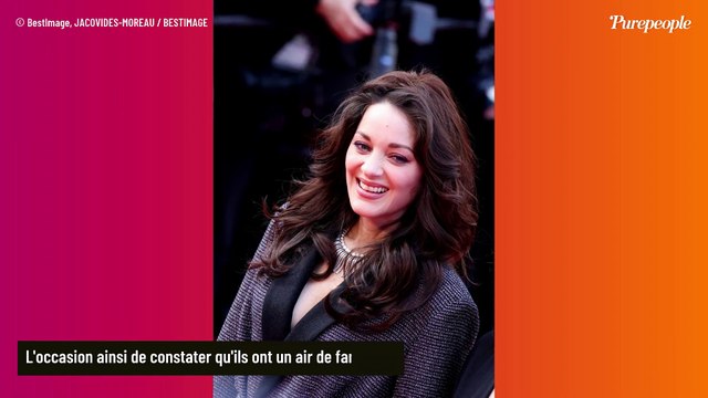 PHOTOS Marion Cotillard : À quoi ressemble ses frères jumeaux ? L'air de famille est impressionnant