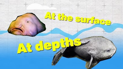 Proofs That Nature Is Getting Weird