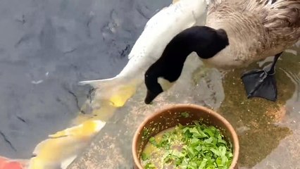 Proofs That Nature Is Getting Weird #2