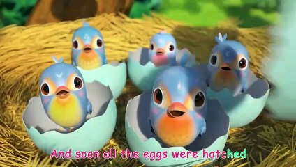 Five Little Birds _ Baby Animals For Kids _ CoComelon Animal Time