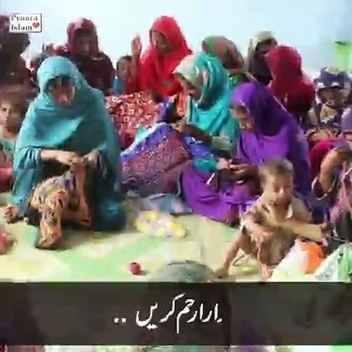 sachi bat