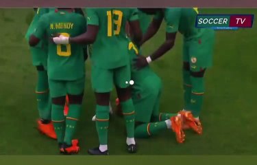 Amical Brésil-Sénégal : L’égalisation splendide d’Habib Diallo