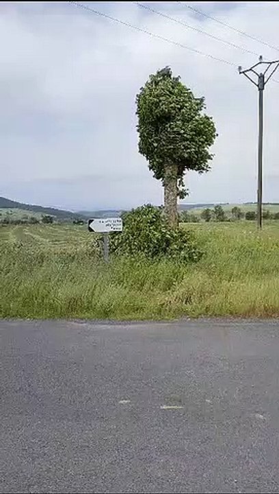 Vent debout aux Estables