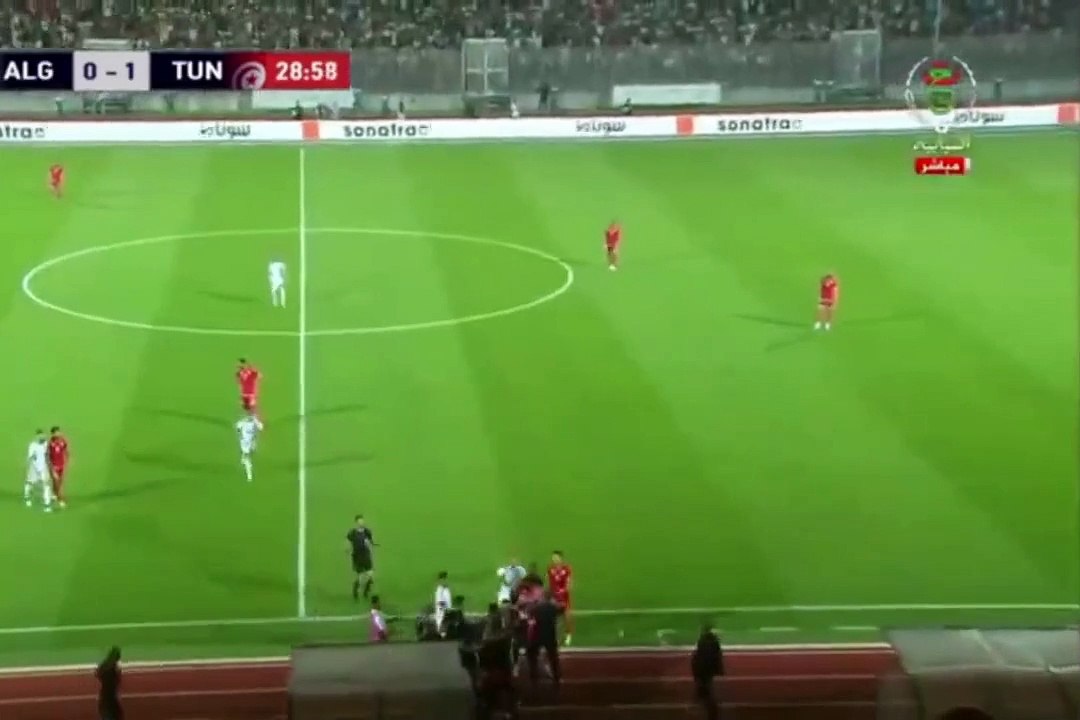 belmadi