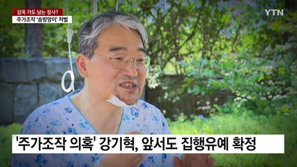 주가조작 솜방망이 처벌...감옥 가도 '남는 장사' / YTN