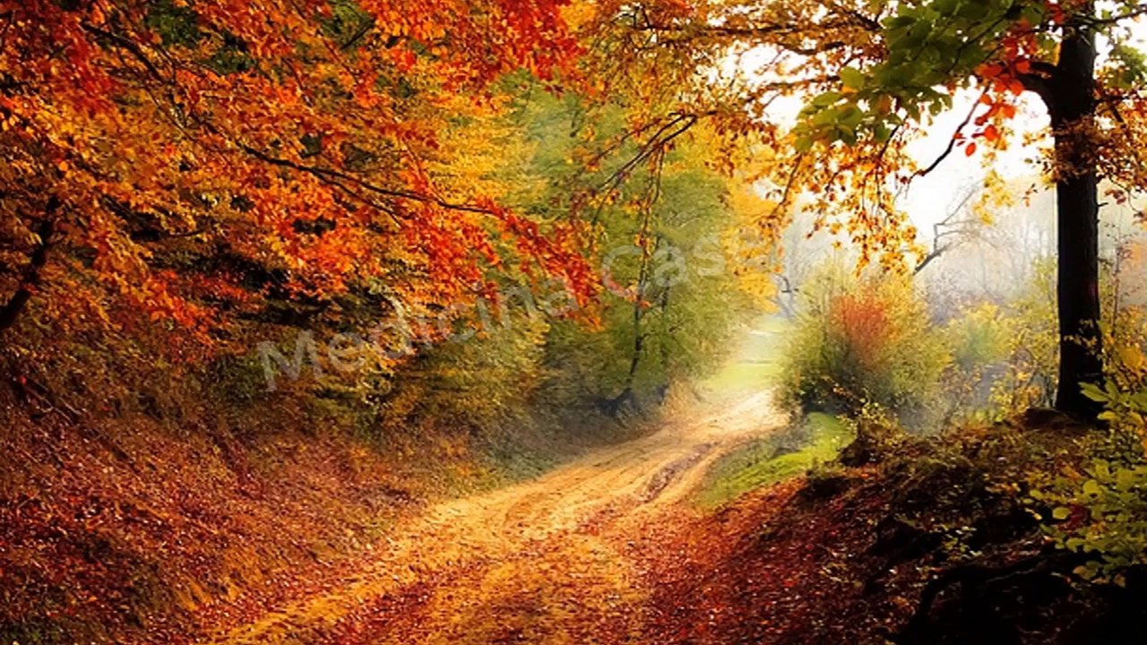 Meditacion con la naturaleza parte 1