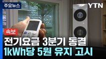 [속보] 올 3분기 전기요금 '동결'...연료비 조정단가 5원 유지 / YTN