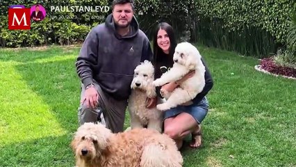 Duermen a perro de Paul Stanley mientras él está en 'La Casa de los Famosos'