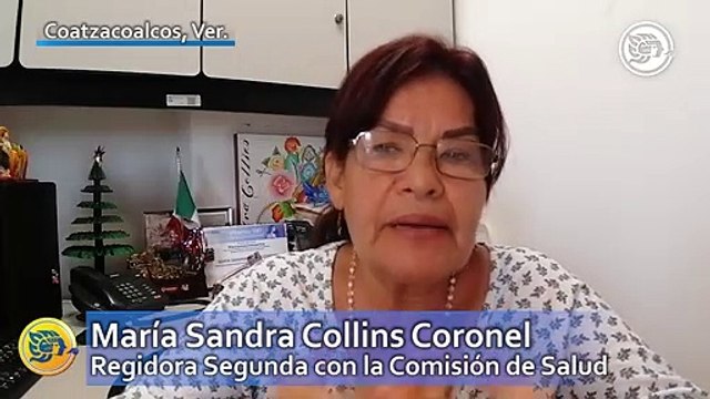 Porteños se están cuidando de golpe de calor: Comisión de Salud