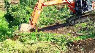Moving Forests and Creating Palm Terraces Hitachi 210 MF Excavator