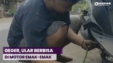OKEFLASH: Ular Berbisa Masuk ke Motor Emak-emak di Bangkalan