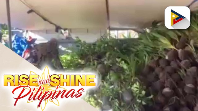 DA at PH Navy, namahagi ng mga binhi at punla ng gulay at prutas sa mga magsasaka sa Basco, Batanes