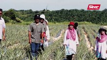 PPP Nanas bantu jana pendapatan tambahan peneroka Felda
