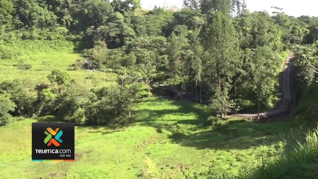 tn7-Fiscalía-recibe-seis-denuncias-al-día-por-delitos-ambientales-200623