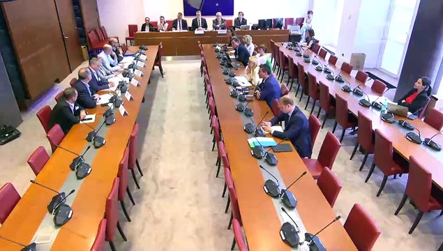 Organisation des groupuscules violents en manifestations : Table ronde de syndicats de police - Mardi 20 juin 2023