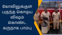 கோவிலுக்குள் புகுந்த கொடிய விஷம் கொண்ட கருநாகம்!