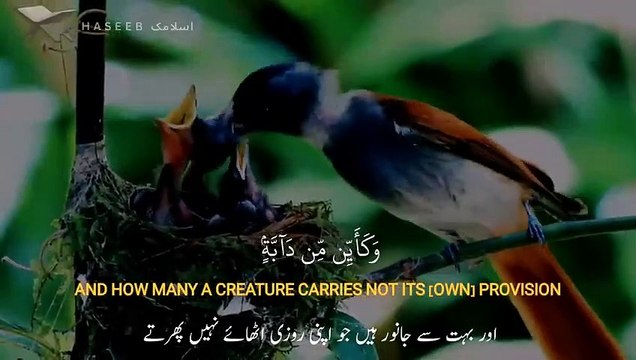 kullu nafsin zaikatul maut By Abdul Rahman Mossad, with visualization