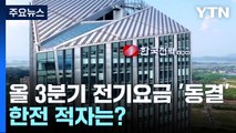 올 3분기 전기요금 '동결'...