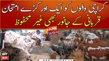 Even the sacrificial animals in Karachi not safe