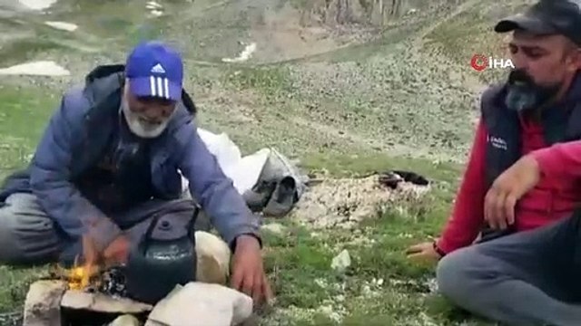 Des troupeaux de moutons confiés à des bergers iraniens