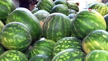Geç gelen yaz karpuz fiyatını vurdu! Sudan bile ucuz
