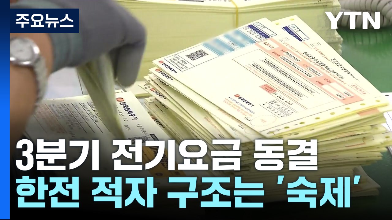 3분기 전기요금 '안 오른다'..."국민 부담 고려" / YTN
