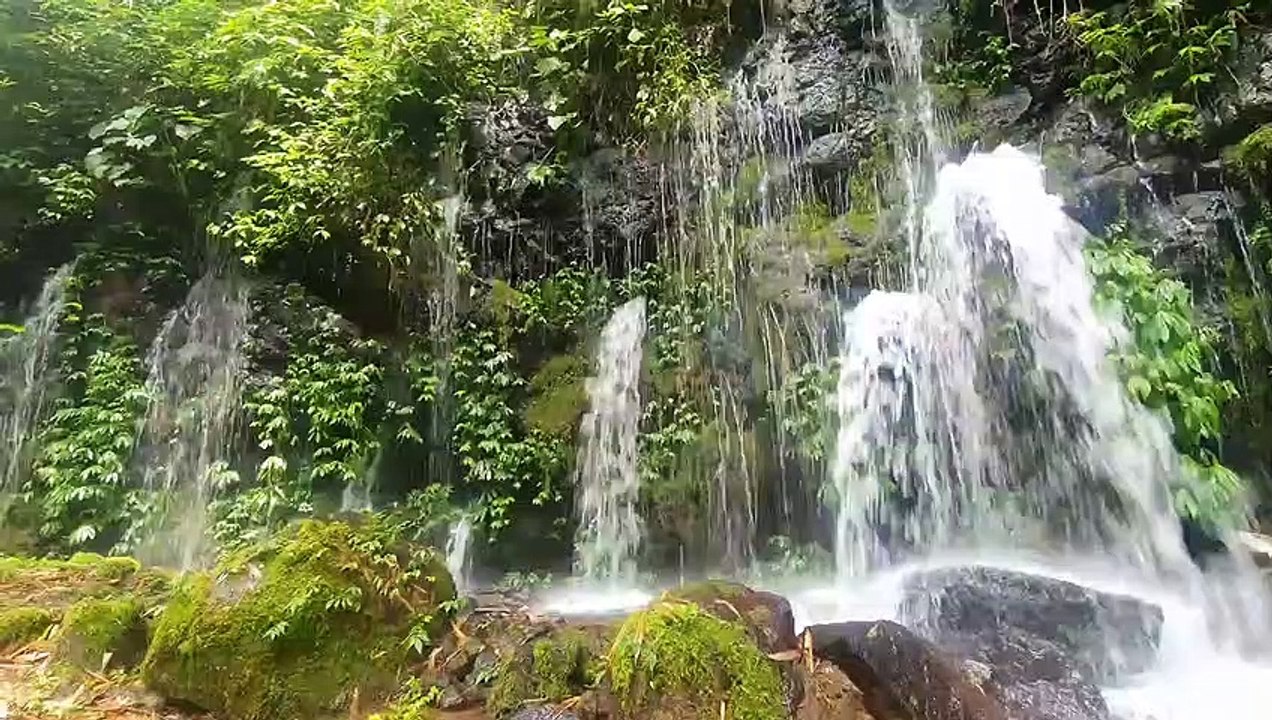 THE BEAUTY OF (SUMBER TELU) WATERFALL