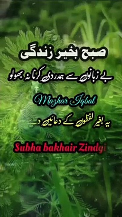 Don't forget to sympathize with the speechless