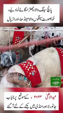 EID UL AZHA 2023 qurbani k lye anokhy janwar samny aa gy......
