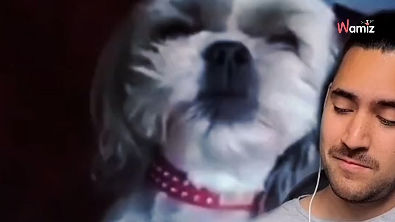 Un musicien devient une star en faisant chanter des animaux (vidéo)