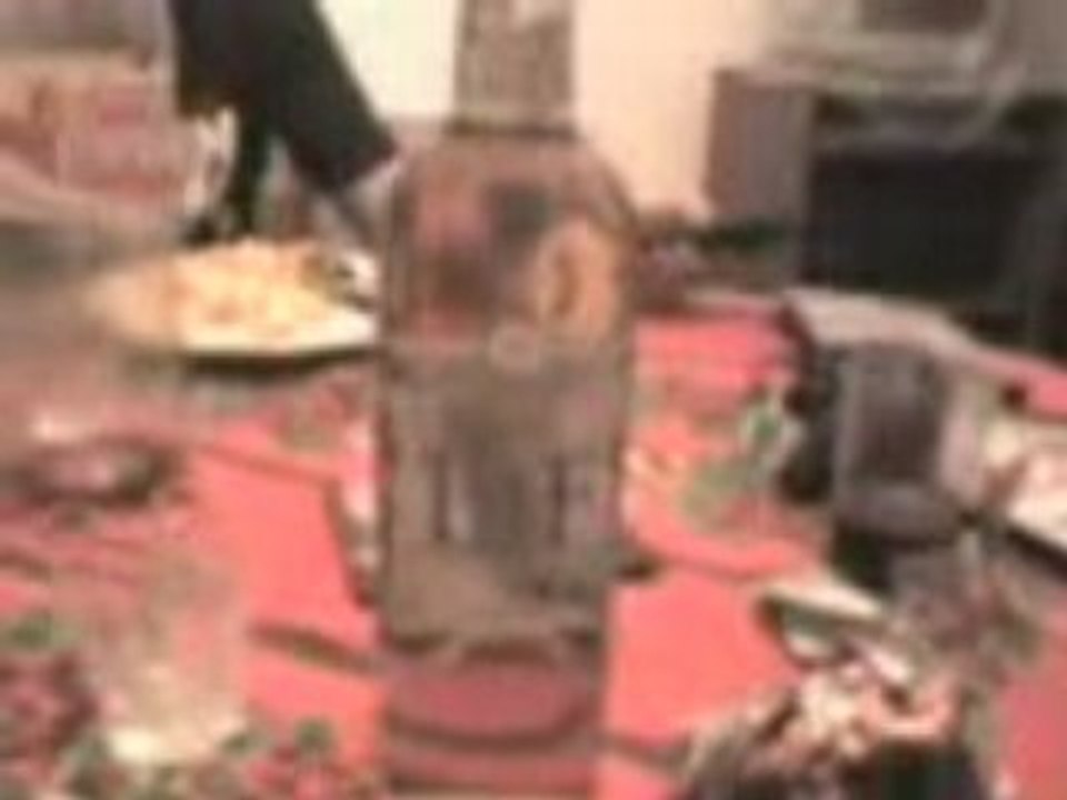 Tequilas con Halcon
