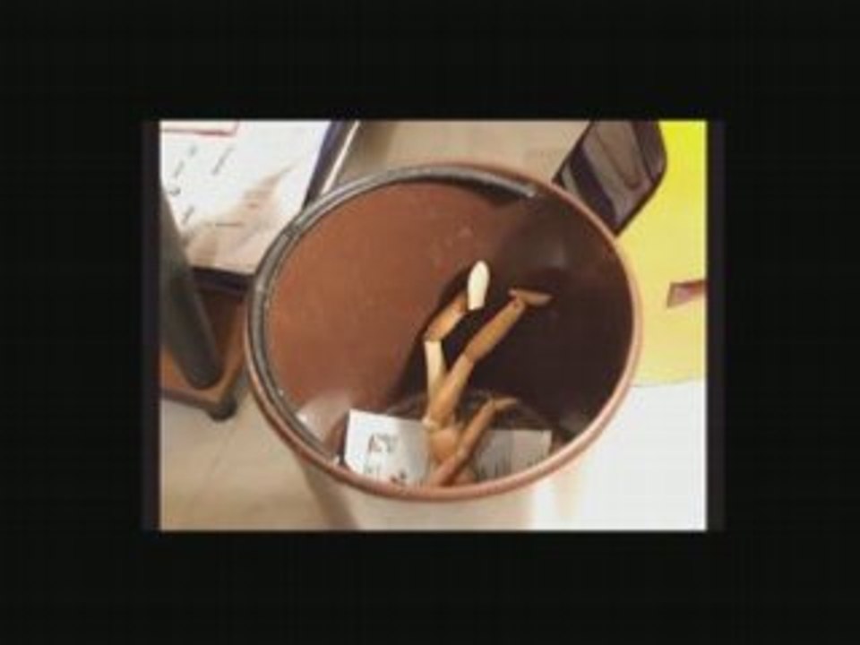 Stop Motion vite fait