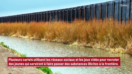 Des cartels utilisent TikTok et Grand Theft Auto pour recruter de jeunes passeurs !