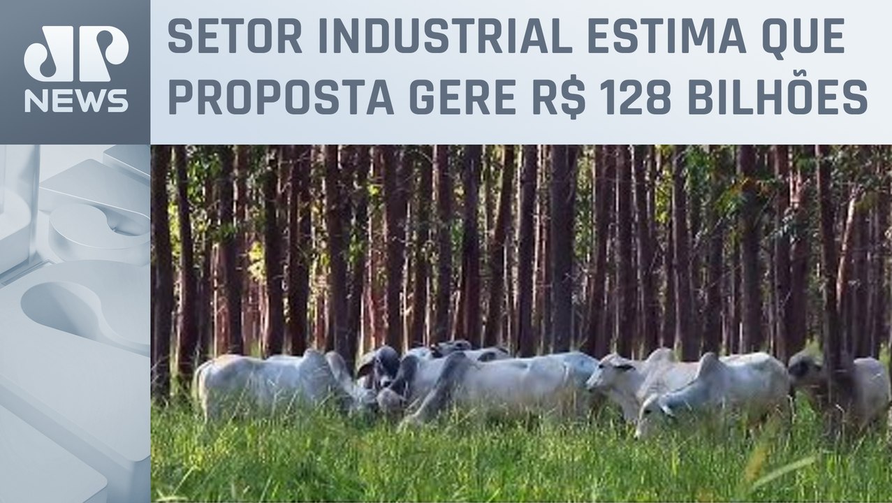 Governo prepara projeto para regulamentar carbono