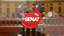 100% Sénat - Audiovisuel public : feu vert du Sénat à la création d'une holding