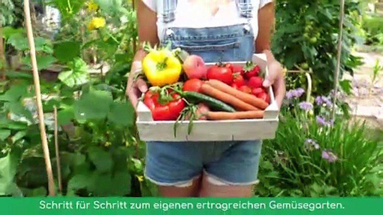 Senol Arapi plant Beetflächen und Wege im Gemüsegarten