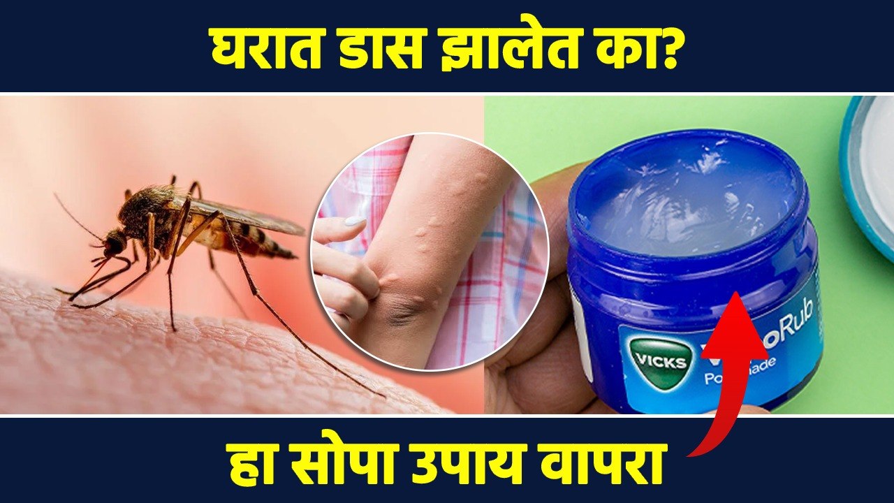 आता घरात अजिबात डास होणार नाहीत | Simple Hacks & Tips For Getting Rid Of Mosquitoes At Home | RI3