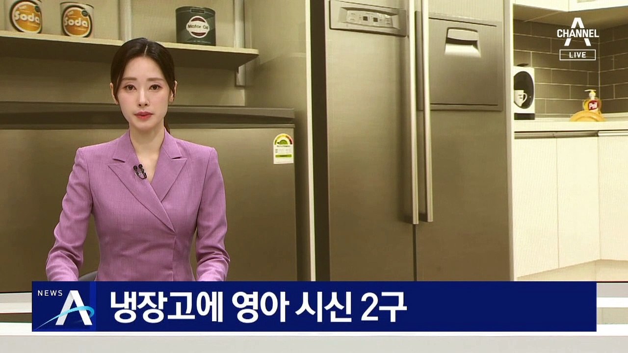 아파트 냉장고에 영아 시신 2구…친모가 살해