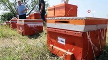 Ruches et soutien à la formation de TIKA aux apiculteurs de Macédoine du Nord