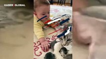 Bebeği yavrusu sanan kedinin tepkileri izlenme rekorları kırdı