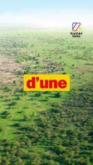 Une muraille verte de 7 500 km en Afrique ?