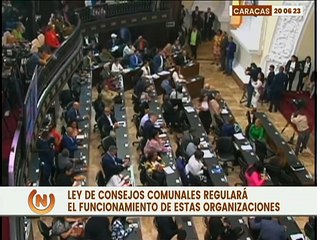 Ley Orgánica de los Consejos Comunales regulará el funcionamiento de sus organizaciones