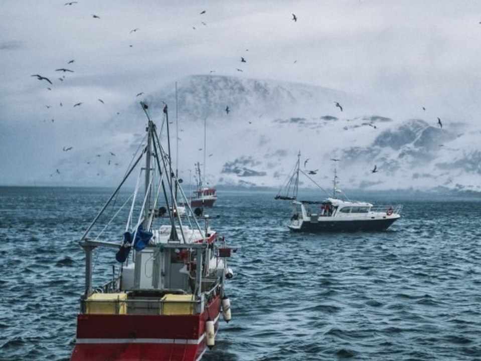 Umweltschützer alarmiert: norwegen will tiefseebergbau betreiben