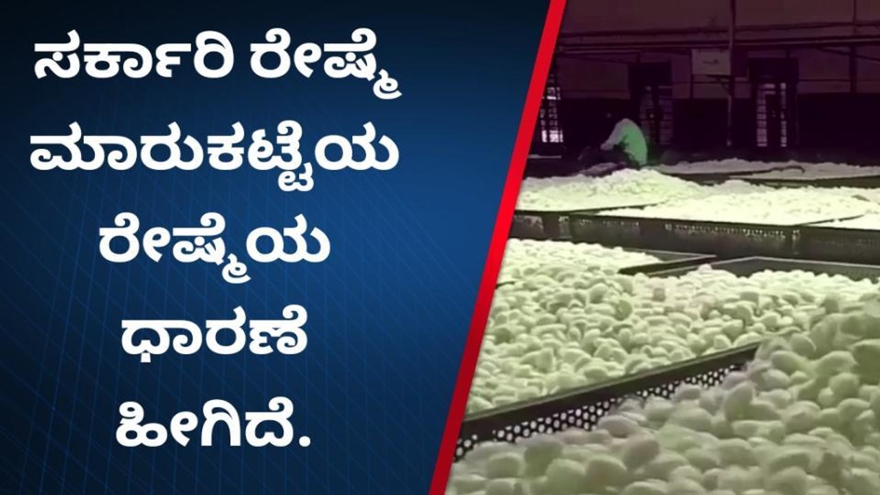 ಶಿಡ್ಲಘಟ್ಟ: ರೇಷ್ಮೆ ಮಾರುಕಟ್ಟೆಯಲ್ಲಿ ಇಂದಿನ ರೇಷ್ಮೆ ಧಾರಣೆ ಹೀಗಿದೆ ನೋಡಿ