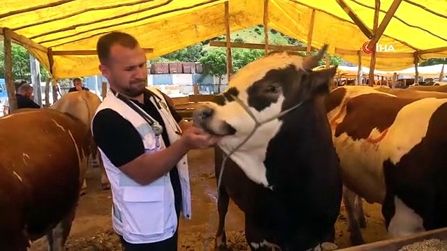 Samsun'da veteriner kontrolünde kurban satışı