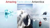 Amazing Facts about Antarctica