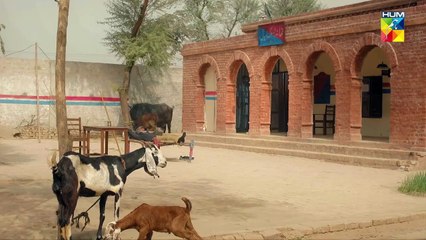 Taraqiyan Hone Wali Hein Janab...! #farhansaeed #hibabukhari - Jhok Sarkar - FLO Digital