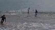 Pessoas vibram ao pescar milhares de tainhas em praia de Bombinhas