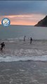 Pessoas vibram ao pescar milhares de tainhas em praia de Bombinhas